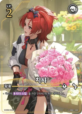 치샤 SD01-005