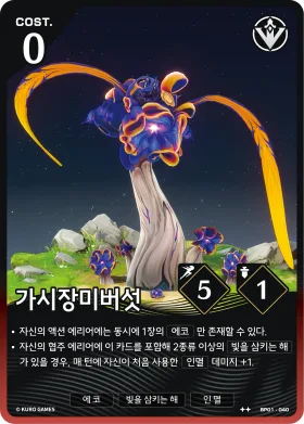가시장미버섯 BP01-040